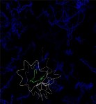Ultrafast Laser Spectroscopy and Computer Simulations Help Study Fundamental Chemical Processes on Sub-Picosecond Timescales