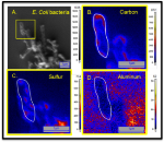NSF Awards $1M Grant to ASU NanoSIMS Facility for Research into Earth Sciences