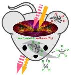 Breakthrough Light Microscopy Method Enables Visualizing Complex Protein Metabolism in Living Systems
