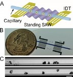 Acoustic Tweezers Manipulate Protein Crystals for X-ray Crystallography