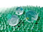 Nano-Hydrogels Transport Drugs Directly to Cancer Cells