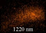 Confocal Microscope Helps Predict Non-Linear Optical Properties of Metamaterials