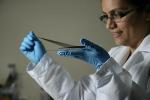 UT Dallas Licenses Patented Process to Transform Carbon Nanotube Materials to Lintec