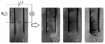 Self-Organized Clouds of Carbon Nanotubes