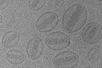 Heating Targeted Nano-Sized Drug Parcels Improves Delivery to Tumour Cells