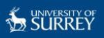 Researchers Create UV Light Detector with Zinc Oxide Nanowires for Enhanced Smoke Detection