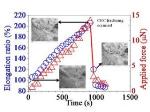 Researchers Observe Real-Time Deformation Data of Carbon Nanocoils Under Axial Loading