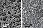 New Type of Injectable Self-Healing Nanogel for Drug Delivery