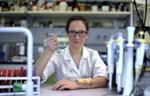Durable Nanocomposite Antibacterial Coatings to Reduce Rate of Infections
