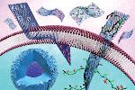 University of Manchester Scientists Selectively Target and Neutralize Cancer Stem Cells Using Graphene