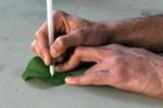 Nanoengineers Develop Biocatalytic Pen Technology to Make Do-It-Yourself Sensors