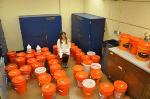 Properly Functioning Septic Tank Could Eliminate Toxicity of Nanoparticles