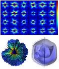 Scientists Demonstrate Possibility of Reconstructing 3D Structure of Virus Particle
