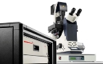 Leica Microsystems Offers STED and GSD 3D Super-Resolution Systems Associated with the Nobel Prize