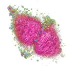 3D Cell Explorer Microscope Uses MRI-Like Technology to See Inside Living Cells