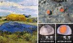 Scientists Explain Light-Induced Degradation of Lead Red in Van Goghs Paintings