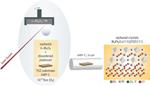 New Thin-Film Catalyst for Applications in Fuel Cells