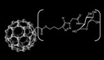 Glyconanoparticles Help Reduce Cell Damage and Inflammation After a Stroke