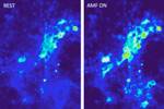 New Research into Using Magnetic Nanoparticles in Localised Brain Tissue Stimulation