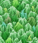 False-Colour Electron Microscope Image of Diamond-Coated Forest of Carbon Nanotubes Wins EPSRC Prize