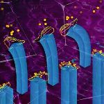Ingenious Microfluidic Device to Detect and Extract Biomolecules from Fluid Mixtures