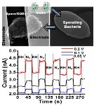 Nano-Electro-Robotic Device Created with Graphene Quantum Dots