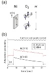 Electron Spin of Molecular Oxygen Strongly Affects Rate of Surface Oxidation