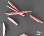 Researchers Produce 2D Multilayered Semiconductor Materials Using Silicon Telluride