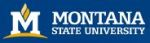 NanoDays/MicroDays Family-Oriented Nanoscience Evening On April 13 Hosted by MSU
