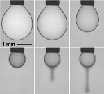 Researchers Create 2D Liquid Made of Nanoparticles at Oil-Water Interface