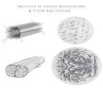 Patterned, Functionalized Nanofiber Scaffolds Combined Within Protective 3D Hydrogels for Neural Tissue Reconstruction