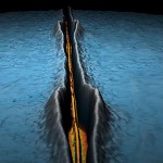 Simple, Scalable Method to Purify Arrays of Single-Walled Carbon Nanotubes