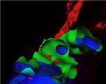 Synthesised Nanoparticles Act As Artificial Viruses