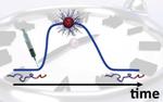 Lifetime of Self-Assembled Nanostructures Programmed by Scientists