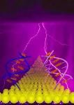 Researchers Explore Ways in Which Electrical Charges Move Along DNA Bases