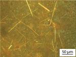 Simple Method to Grow Perovskites into Elongated Nanocrystals for Lasers