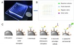 Lab-on-a-Chip Device for Rapid Diagnosis of Cryptosporidium Infections
