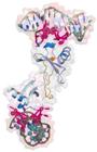 Scientists Decode Molecular and 3D Structure of Spiegelmers