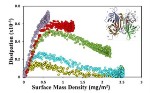 Novel Reference Biosensor to Aid Development of Calibrated, Standardised Diagnostic Devices