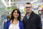 New Commercially Viable Technique to Create Longer Custom-Designed Strands of DNA