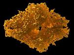Cryo-Electron Microscopy Enables Near-Atomic Level of Protein Imaging