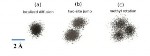 Coupling Advanced Neutron Scattering with High-Performance Computing Could Enable Better Understanding of Protein Function