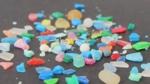 New Book on Marine Litter Focuses on Impact of Nano-Plastic Fragments