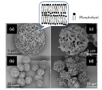 Mesoporous Particles Consisting Solely of Phospholipids for Drug Delivery