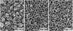 Researchers Successfully Develop Nanoporous Gold Material with Regular, Uniform Pore Arrangement