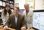 Novel Nanoparticle-Based Therapy Effectively Treats Mice with Multiple Myeloma