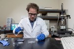 DNA Nanostructures Assembled in Waterless Solvent