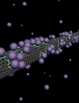 Carbon Nanotube Used as a Transistor to Study Interaction between Gas Atoms and Nanotube Surface