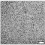 Protein nanostructures being developed as calibration standards for electron microscopy