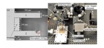 Coupled Microcantilevers Can Measure Nanogram-Scale Mass